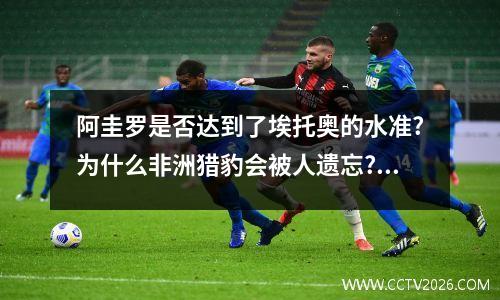 阿圭罗是否达到了埃托奥的水准?为什么非洲猎豹会被人遗忘? 世界杯足球队队员