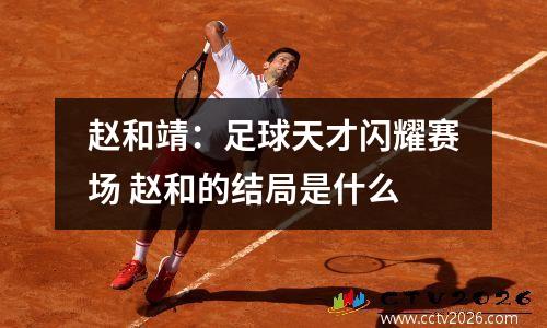 赵和靖：足球天才闪耀赛场 赵和的结局是什么