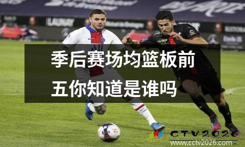 季后赛场均篮板前五你知道是谁吗