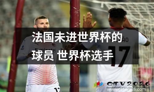 法国未进世界杯的球员 世界杯选手