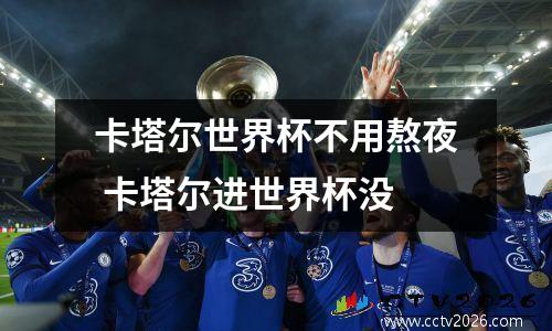 卡塔尔世界杯不用熬夜 卡塔尔进世界杯没