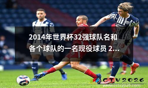 2014年世界杯32强球队名和各个球队的一名现役球员 2014年巴西世界杯