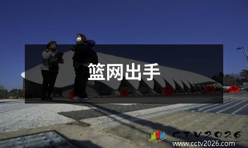 篮网出手