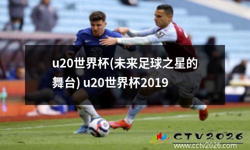 u20世界杯(未来足球之星的舞台) u20世界杯2019