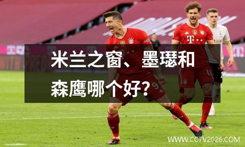 米兰之窗、墨璱和森鹰哪个好？