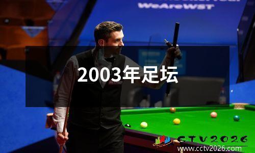 2003年足坛
