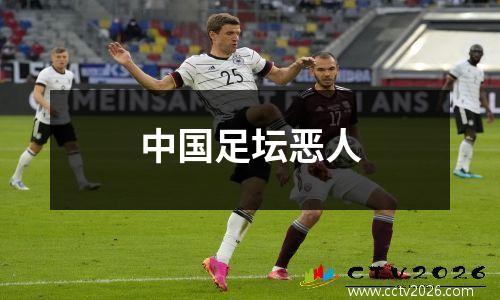 中国足坛恶人