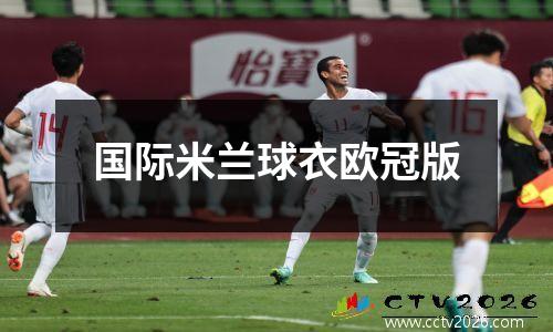 国际米兰球衣欧冠版