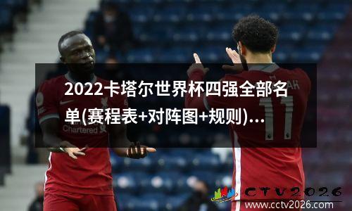 中国乒乓球在里约总共拿几块