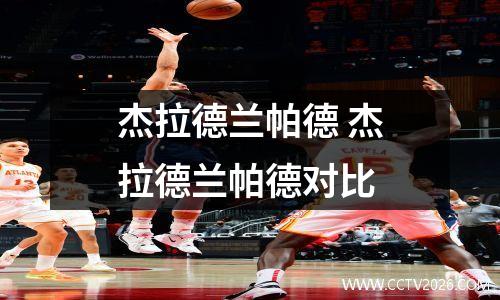 杰拉德兰帕德 杰拉德兰帕德对比