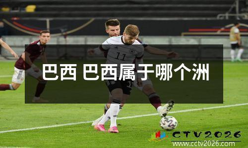 巴西 巴西属于哪个洲