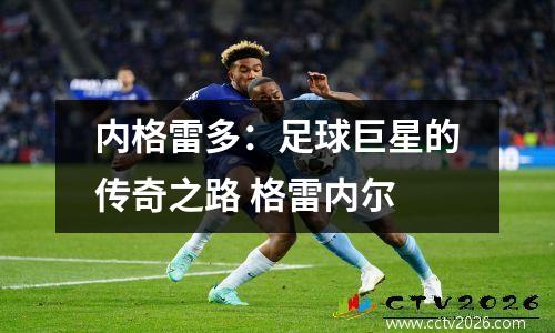 内格雷多：足球巨星的传奇之路 格雷内尔