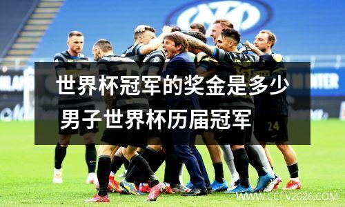 世界杯冠军的奖金是多少 男子世界杯历届冠军