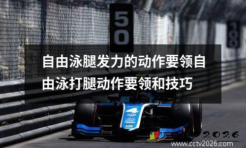 自由泳腿发力的动作要领自由泳打腿动作要领和技巧