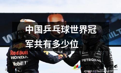 中国乒乓球世界冠军共有多少位