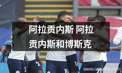 阿拉贡内斯 阿拉贡内斯和博斯克
