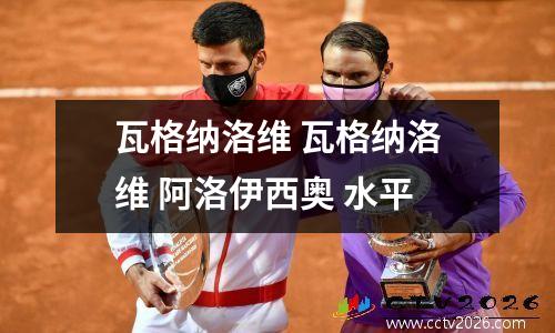 瓦格纳洛维 瓦格纳洛维 阿洛伊西奥 水平