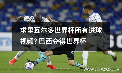求里瓦尔多世界杯所有进球视频? 巴西夺得世界杯