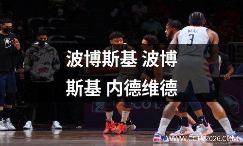 波博斯基 波博斯基 内德维德