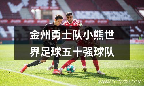 金州勇士队小熊世界足球五十强球队