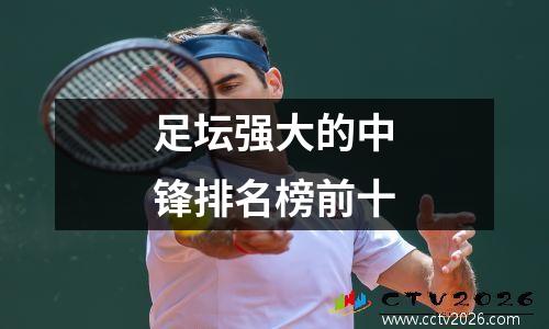 足坛强大的中锋排名榜前十
