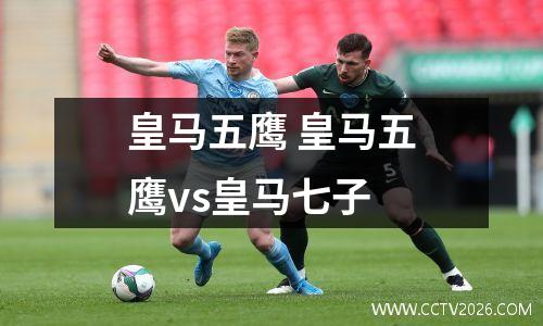 皇马五鹰 皇马五鹰vs皇马七子