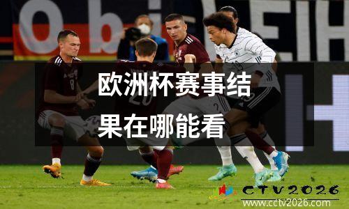 欧洲杯赛事结果在哪能看