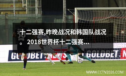 十二强赛,昨晚战况和韩国队战况。 2018世界杯十二强赛国足
