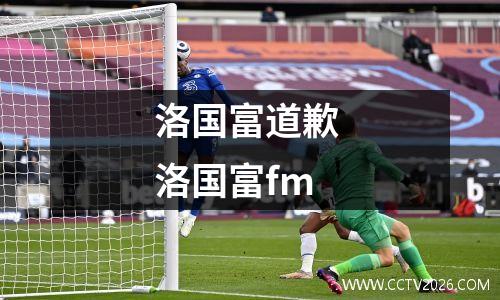 洛国富道歉 洛国富fm
