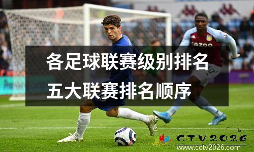 各足球联赛级别排名五大联赛排名顺序