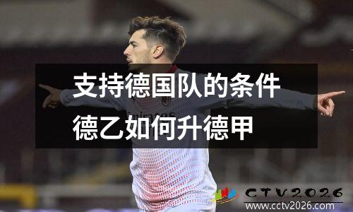 支持德国队的条件德乙如何升德甲