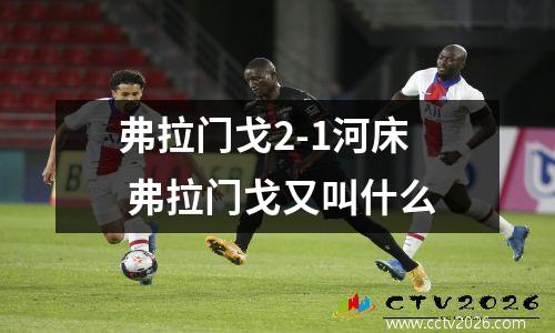 弗拉门戈2-1河床 弗拉门戈又叫什么