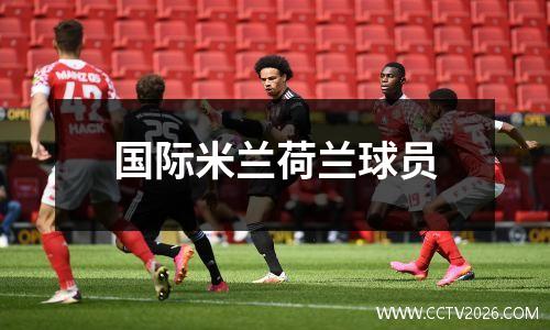 国际米兰荷兰球员