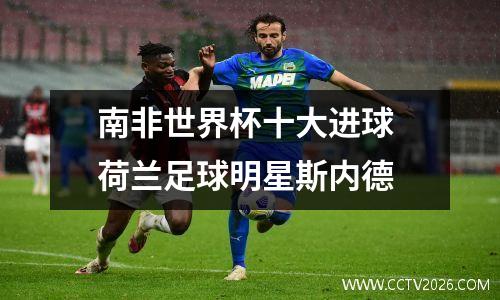 南非世界杯十大进球 荷兰足球明星斯内德