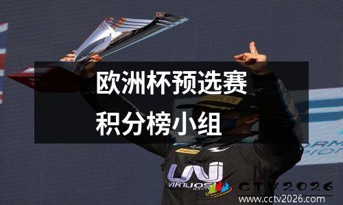 欧洲杯预选赛积分榜小组