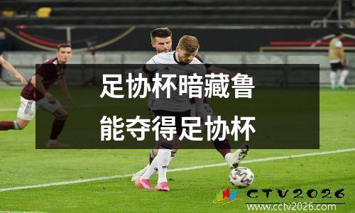 足协杯暗藏鲁能夺得足协杯