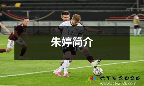 朱婷简介