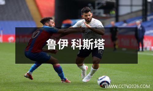 鲁伊 科斯塔