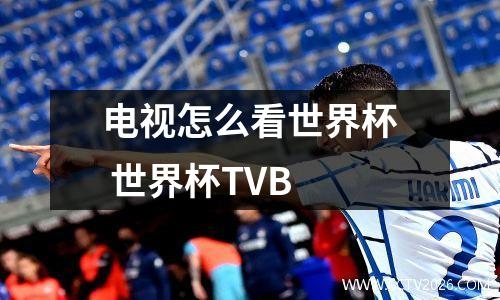 电视怎么看世界杯 世界杯TVB
