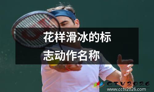 花样滑冰的标志动作名称