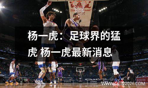 杨一虎：足球界的猛虎 杨一虎最新消息