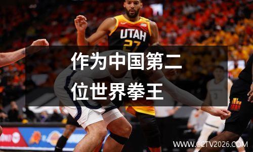 作为中国第二位世界拳王