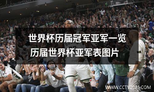 世界杯历届冠军亚军一览 历届世界杯亚军表图片