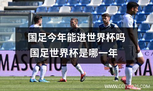 国足今年能进世界杯吗 国足世界杯是哪一年
