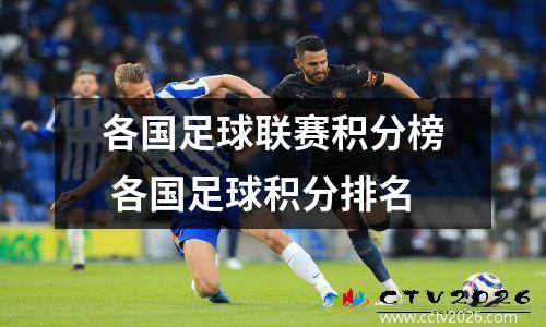 各国足球联赛积分榜 各国足球积分排名