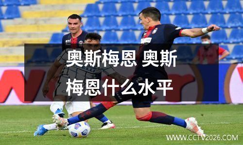 奥斯梅恩 奥斯梅恩什么水平