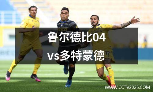 鲁尔德比04vs多特蒙德
