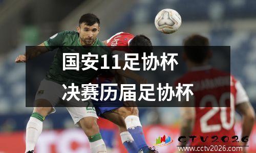 国安11足协杯决赛历届足协杯