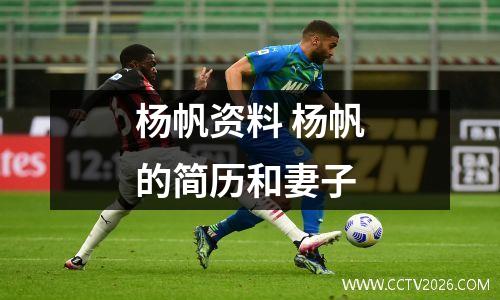 杨帆资料 杨帆的简历和妻子
