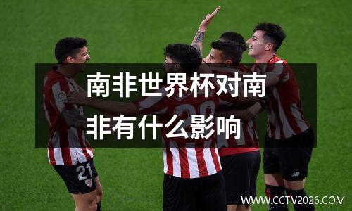 南非世界杯对南非有什么影响